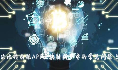 如何有效解决比特白银APP区块链同步中的常见问题：5个实用技巧
