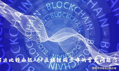 如何有效解决比特白银APP区块链同步中的常见问题：5个实用技巧