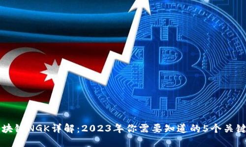 区块链NGK详解：2023年你需要知道的5个关键点