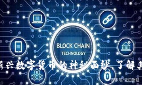 NA币区块链：揭开新兴数字货币的神秘面纱，了解其背后的公司与技术