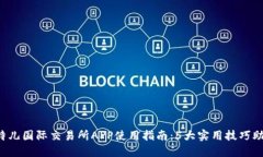 2023年比特儿国际交易所