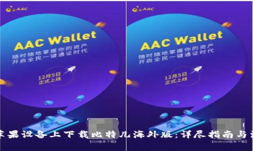 如何在苹果设备上下载比特儿海外版：详尽指南与注意事项