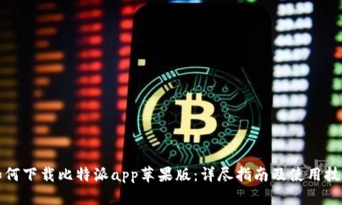 如何下载比特派app苹果版：详尽指南及使用技巧