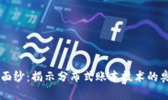 区块链的面纱：揭示分布