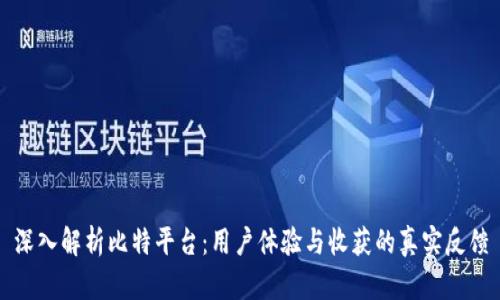 深入解析比特平台：用户体验与收获的真实反馈