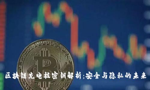 区块链充电桩密钥解析：安全与隐私的未来