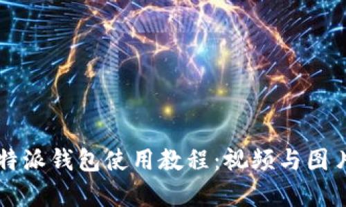 详细解析比特派钱包使用教程：视频与图片全方位指南
