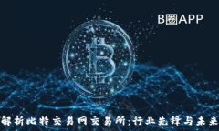  深入解析比特交易网交易