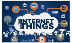 比特派APP客服热线详解及常见问题解答