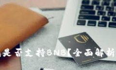 比特派钱包是否支持BNB？全面解析与使用指南
