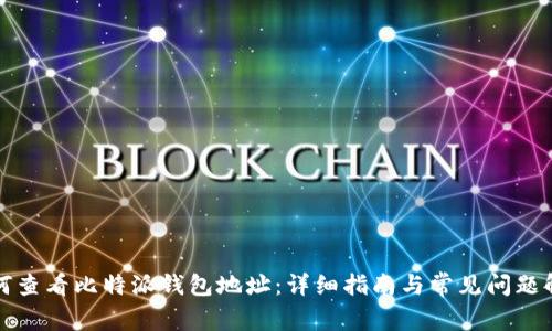 如何查看比特派钱包地址：详细指南与常见问题解答